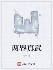 小说：两界真武，作者：茗夜