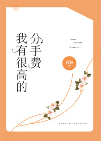 小说：我有很高的分手费，作者：喜粒