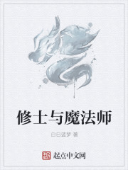 小说：修士与魔法师，作者：白日蓝梦