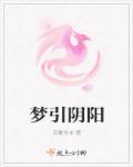 小说：梦引阴阳，作者：凉夏言末