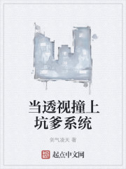小说：当透视撞上坑爹系统，作者：剑气凌天