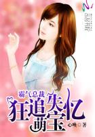 小说：霸气总裁：狂追失忆萌宝，作者：心唤.CS