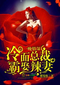 小说：一晚情深，冷面总裁霸娶辣妻，作者：樱黎络