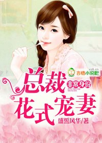 小说：非常身份，总裁花式宠妻，作者：盛誓风华