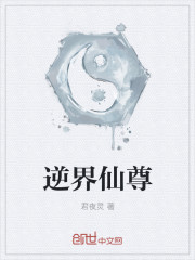 小说：逆界仙尊，作者：君夜灵