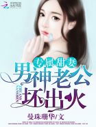 小说：专属甜妻：男神老公爱出火，作者：曼珠珊华