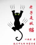 小说：老子是妖猫，作者：十安君