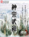 小说：神宗武祖，作者：曚胧