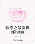 小说：快穿之最强反派boss，作者：十银公子