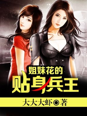 小说：姐妹花的贴身兵王，作者：大大大虾