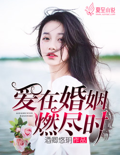 小说：爱在婚姻燃尽时，作者：酒卿悠玥