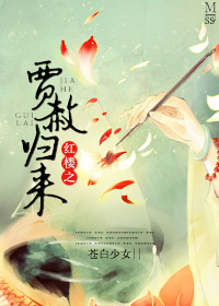 小说：红楼之贾赦归来，作者：苍白少女