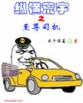小说：纵横荒宇之至尊司机，作者：七夕诺夏