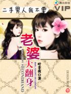 小说：二手男人我不要：老婆大翻身，作者：叶非夜