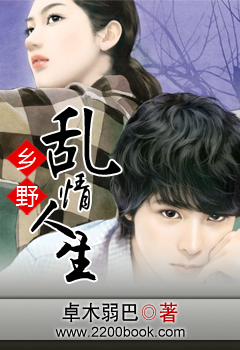小说：乡野乱情人生，作者：卓木弱巴