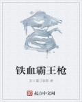 小说：铁血霸王枪，作者：发卡量甘氨酸