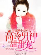 小说：蜜糖小老师：高冷男神甜甜宠，作者：九云衫
