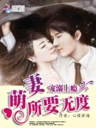小说：宠溺上瘾：萌妻所要无度，作者：心情若海