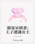 小说：溺宠呆萌妻：王子遭遇公主，作者：左心右房