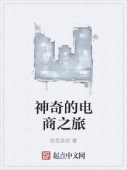小说：神奇的电商之旅，作者：我是菜农