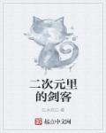 小说：二次元里的剑客，作者：江水依白