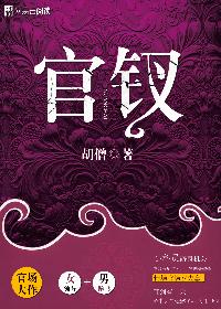 小说：官钗，作者：胡僧