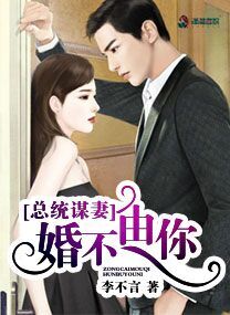 小说：总统谋妻：婚不由你，作者：李不言