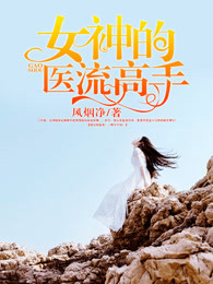 小说：女神的医流高手，作者：风烟净