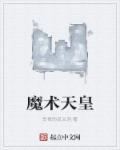 小说：魔术天皇，作者：举报的反义词
