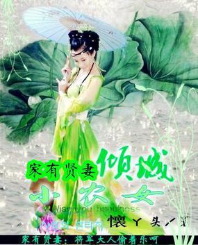 小说：家有贤妻：倾城小农女，作者：懐丫头