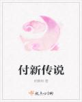 小说：付新传奇，作者：前朝树