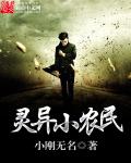 小说：奇异小农民，作者：小刚无名