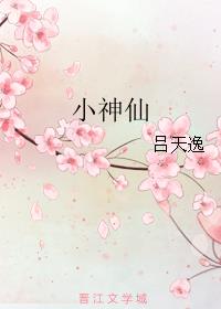 小说：小神仙，作者：吕天逸