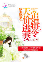 小说：豪门危情：天价逃妻追缉令，作者：心至