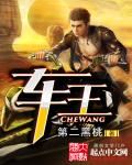 小说：车王，作者：第二黑桃