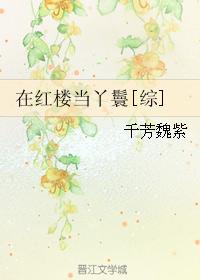 小说：在红楼当丫鬟[综]，作者：千芳魏紫