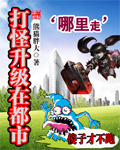 小说：打怪升级在都市，作者：熊猫胖大
