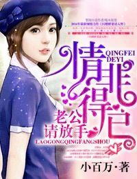 小说：情非得已，老公请放手！，作者：小百万