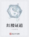 小说：红楼证道，作者：元宝本尊