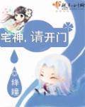 小说：宅神，请开门，作者：绛瞳