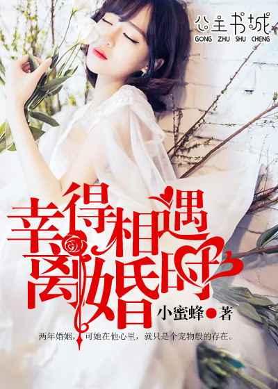 小说：幸得相遇离婚时，作者：夕阳