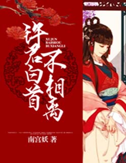 小说：许君白首不相离，作者：南宫妖