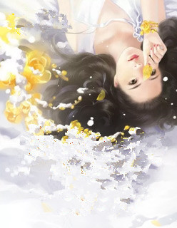 小说：金牌老公，作者：平原夜
