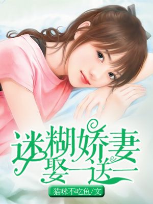 小说：迷糊娇妻娶一送一，作者：猫咪不吃鱼