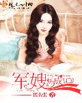 小说：军嫂炼成记，作者：匿名张