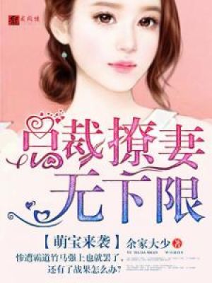 小说：萌宝来袭：总裁撩妻无下限，作者：余家大少