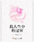 小说：我人生中的过客，作者：君子斯如兰