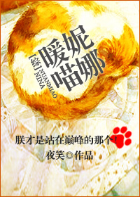 小说：[综]暖喵妮娜，作者：夜笑