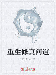 小说：重生修真问道，作者：炖汤需小火