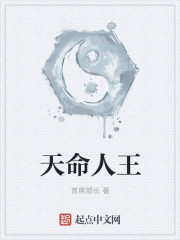 小说：天命人王，作者：首席部长